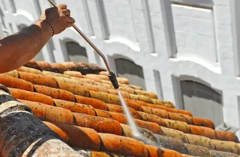 Démoussage de toiture à Ciré d'Aunis
